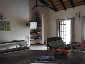 Una televisión, una chimenea, un reproductor de DVD, libros