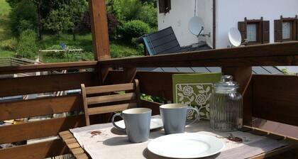 Dolomites: Apartment "Erica mountain" a few minutes from Cortina d 'Ampezzo