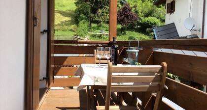 Dolomites: Apartment "Erica mountain" a few minutes from Cortina d 'Ampezzo