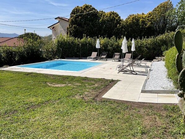 A rectangular swimming pool with lounge chairs and umbrellas, surrounded by a grassy lawn and a cactus.