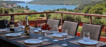 Newly renovated spacious villa Nicole, amazing seaview,40 m2 pool,sauna,billiard