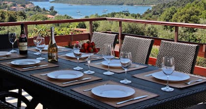 Neu renovierte geräumige Villa Nicole, herrlicher Meerblick, 40 m2 Pool, Sauna