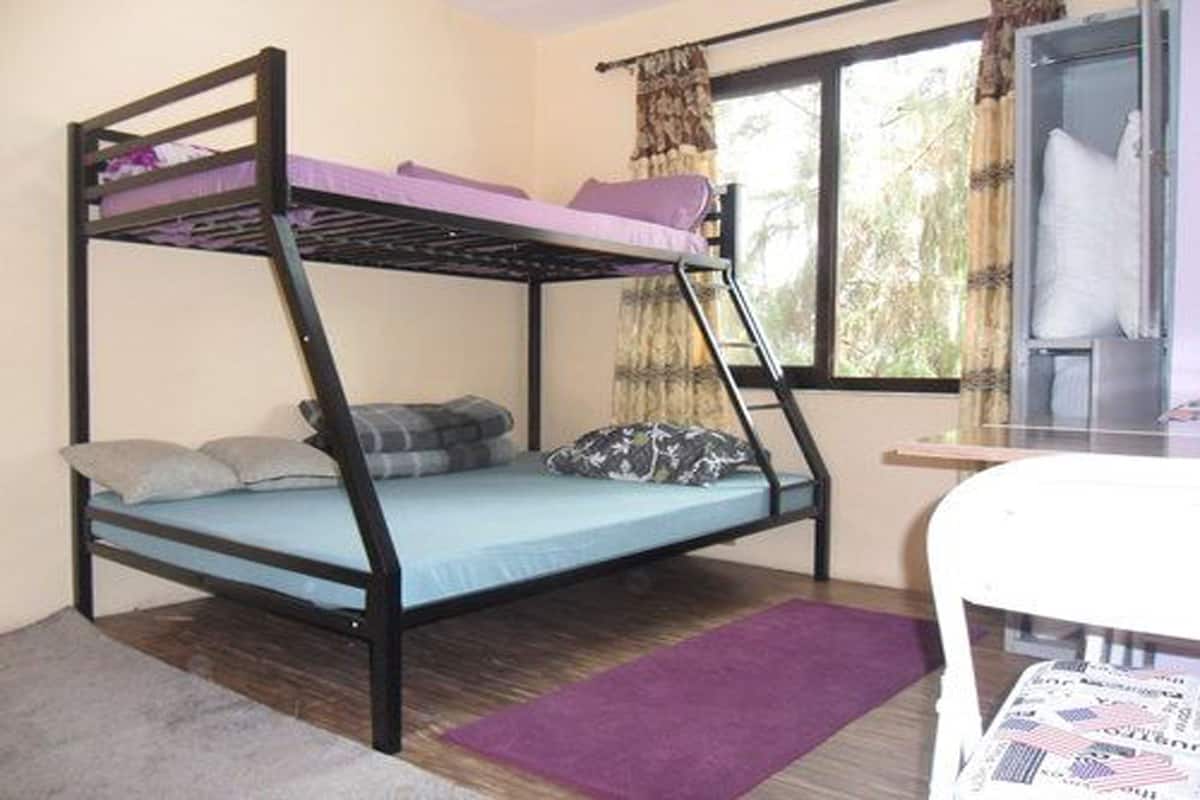 Habitación doble | Escritorio, tabla de planchar con plancha, wifi gratis y ropa de cama