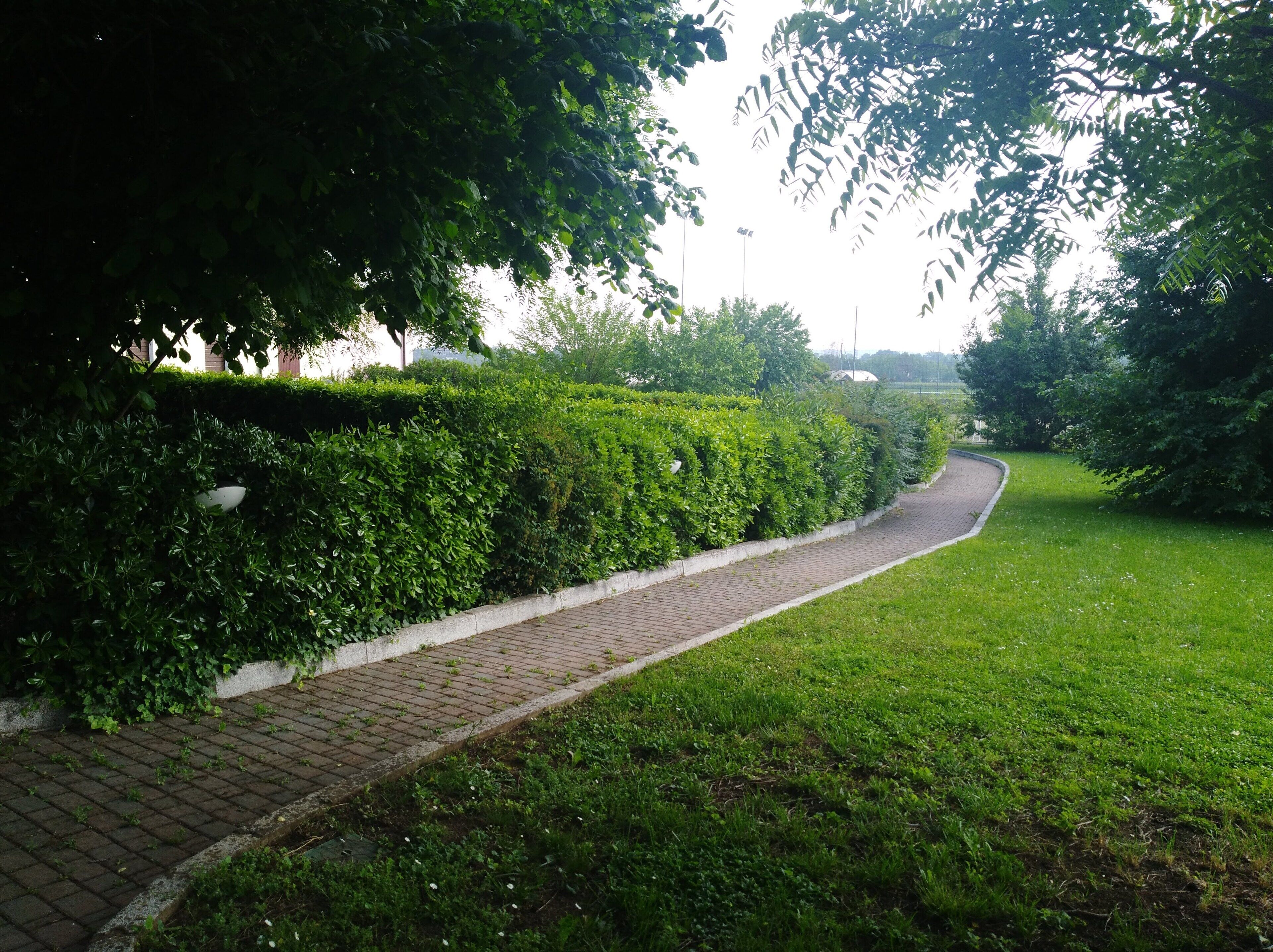 Un vialetto lastricato costeggia un siepe curata, che conduce a una zona erbosa.