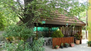 Un espacio de estar al aire libre cubierto, con plantas en macetas y una valla de bambú.