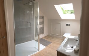 Shower, hair dryer, towels