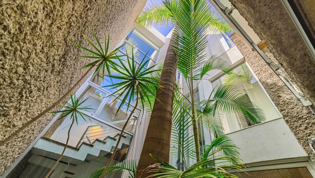 Ein Atrium mit hohen Decken, einer zentralen Palme, großen Fenstern und Blick zum Himmel.