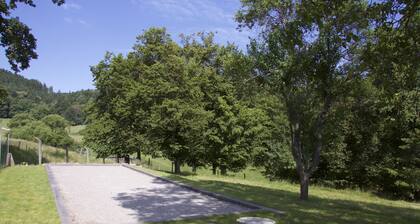 Relax at the edge of the woods, go for walks and bike rides
