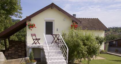 Vacation home on the edge of the forest