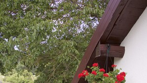 A balcony with a table set for two, a hanging flower basket, and a view of a grassy area and trees.