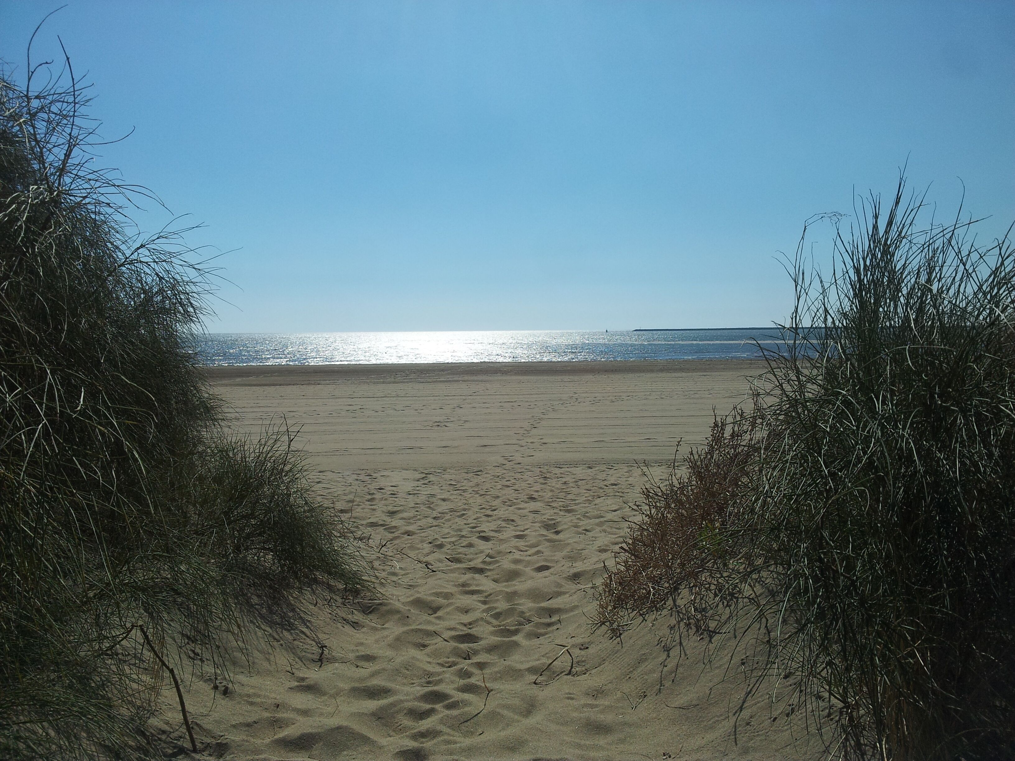 Aurinkotuoleja, rantapyyhkeitä