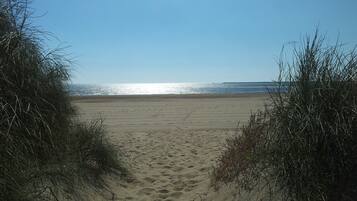 Sun-loungers, beach towels