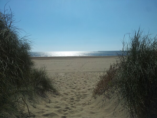 Tumbonas y toallas de playa