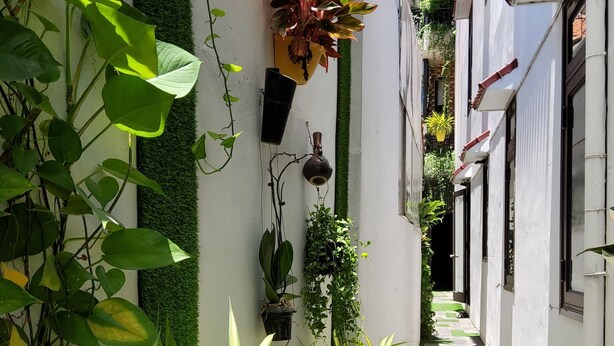 A narrow, paved corridor with a checkered pattern, flanked by lush green plants and white walls. - Bean Grass Homestay (Da Nang)