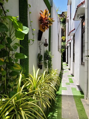 A narrow, paved corridor with a checkered pattern, flanked by lush green plants and white walls. - Bean Grass Homestay (Da Nang)