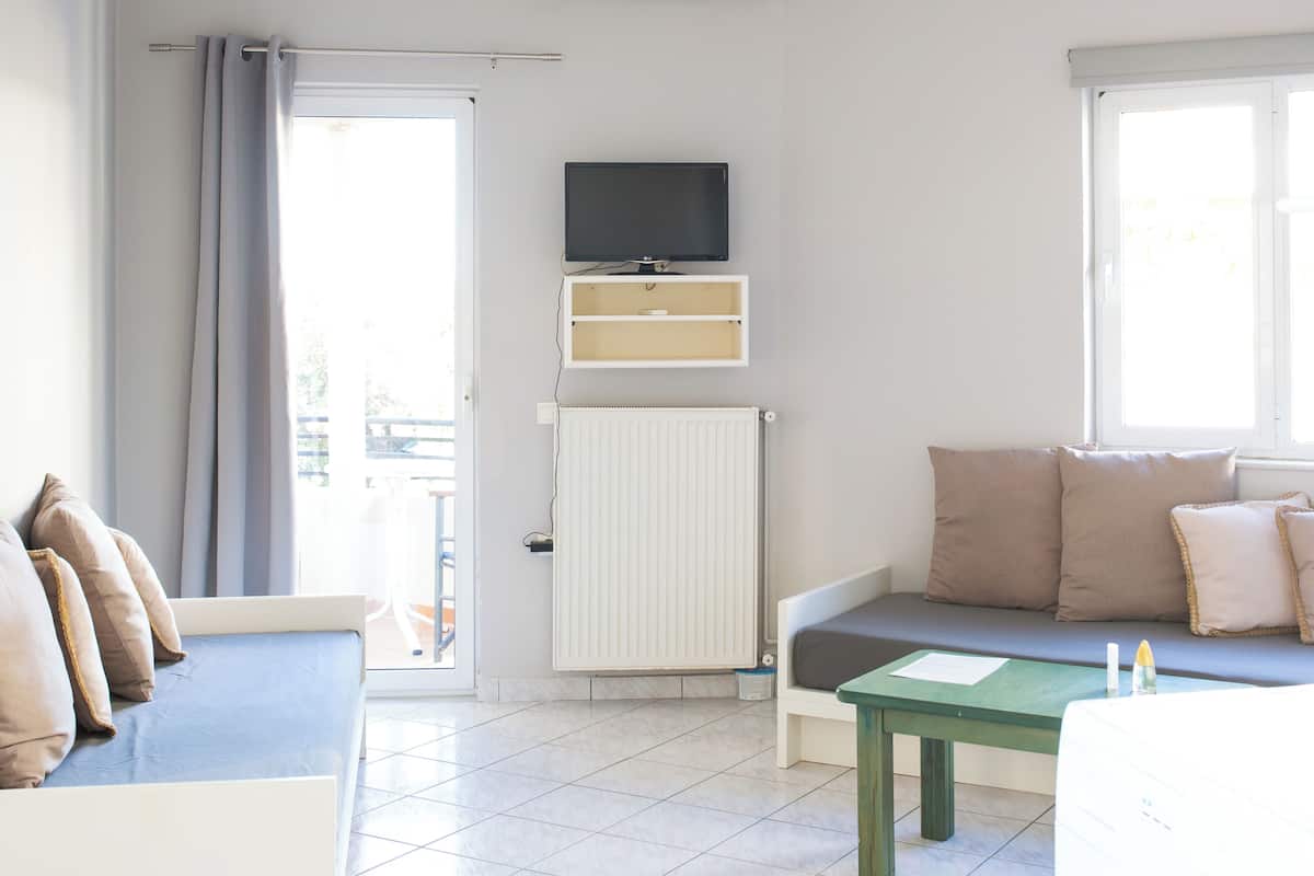 A room with a bed, a sofa, a TV, a radiator, and a window.