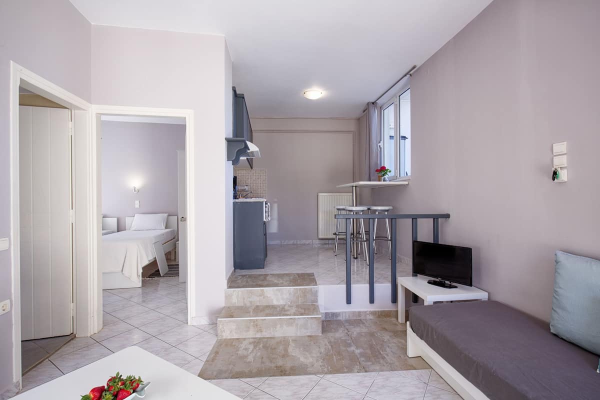 A compact living space with a kitchenette, a dining area, a sofa, and a TV.
