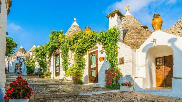 A narrow street lined with traditional white buildings with stone roofs, some covered in greenery, and a cobblestone path. - Hotel Gabbiano (Mola di Bari)