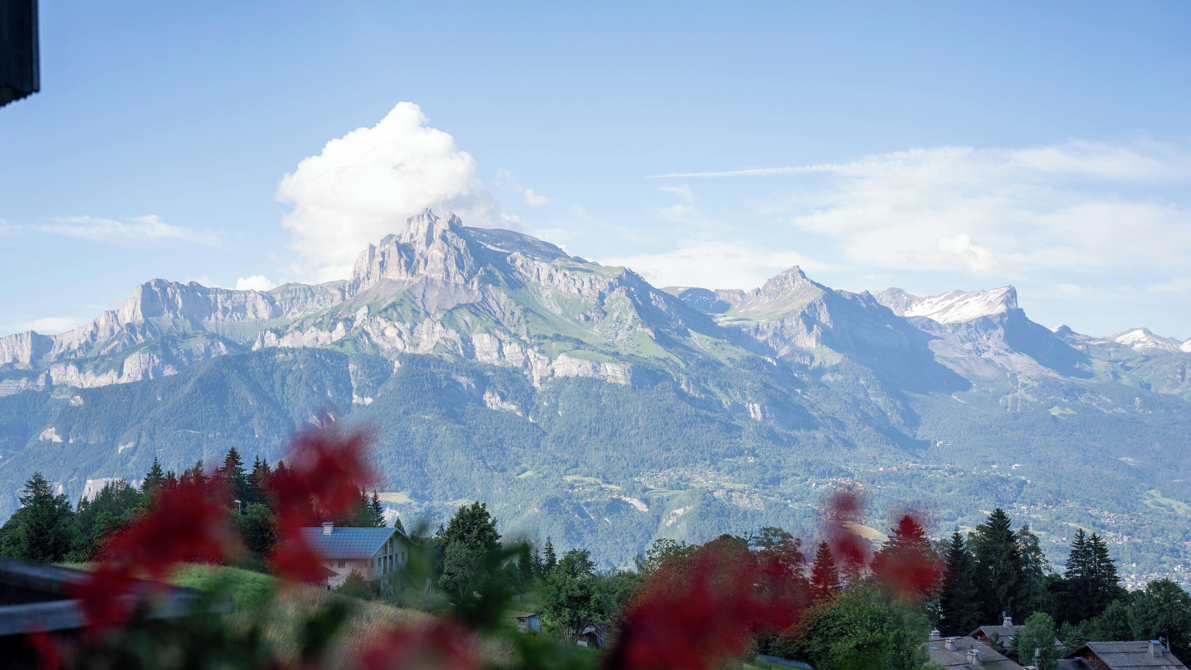 A mountain landscape with a prominent peak, forested valleys, and a small building in the foreground.