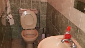 A bathroom with a toilet, sink, and a mirror. - Maurica Homes (Nairobi)