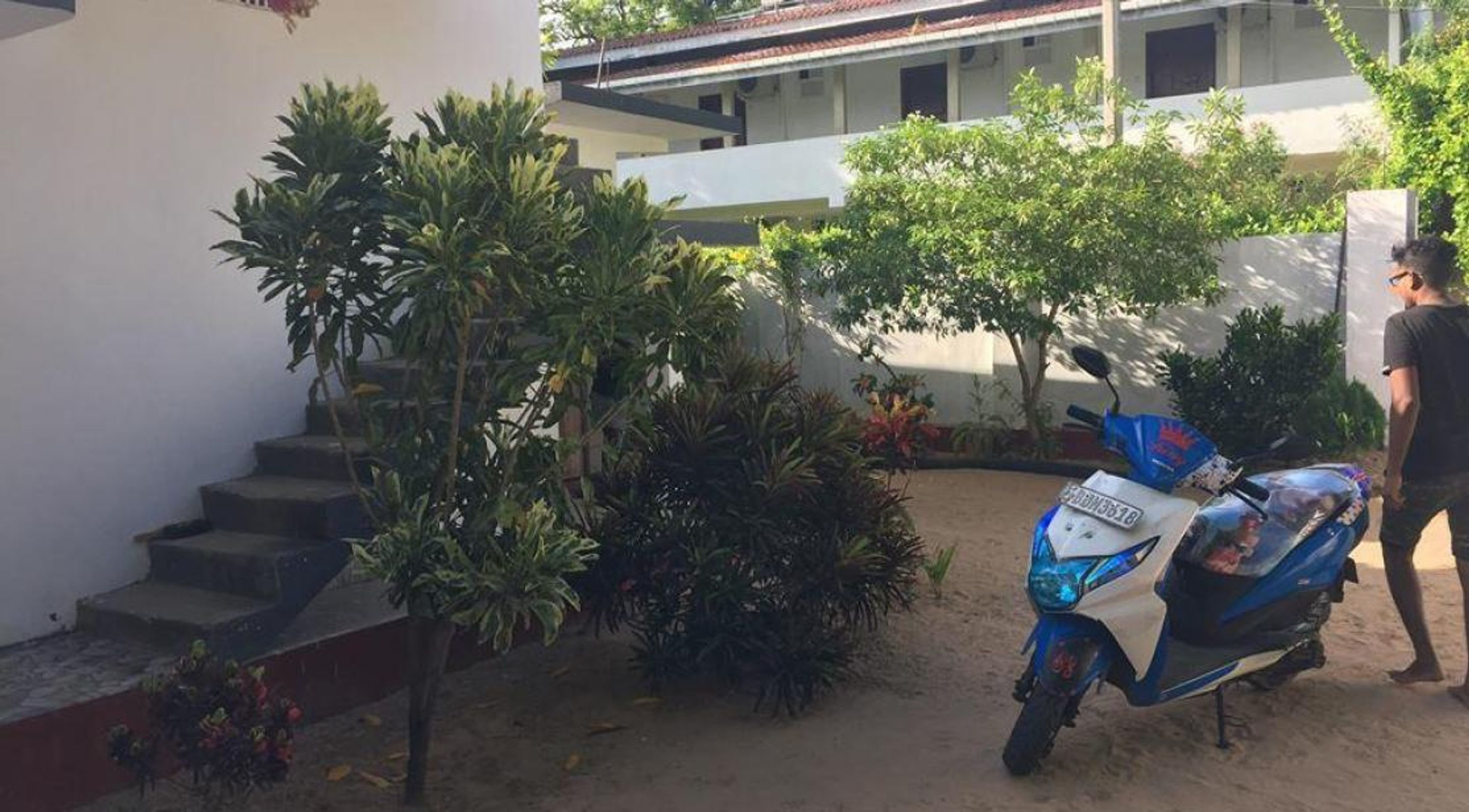 Una patineta azul estacionada en un patio con una escalera y diversas plantas.