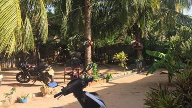 A motorcycle parked in a tropical garden setting with dense foliage and a sandy ground. - onelove hostel (Trincomalee)