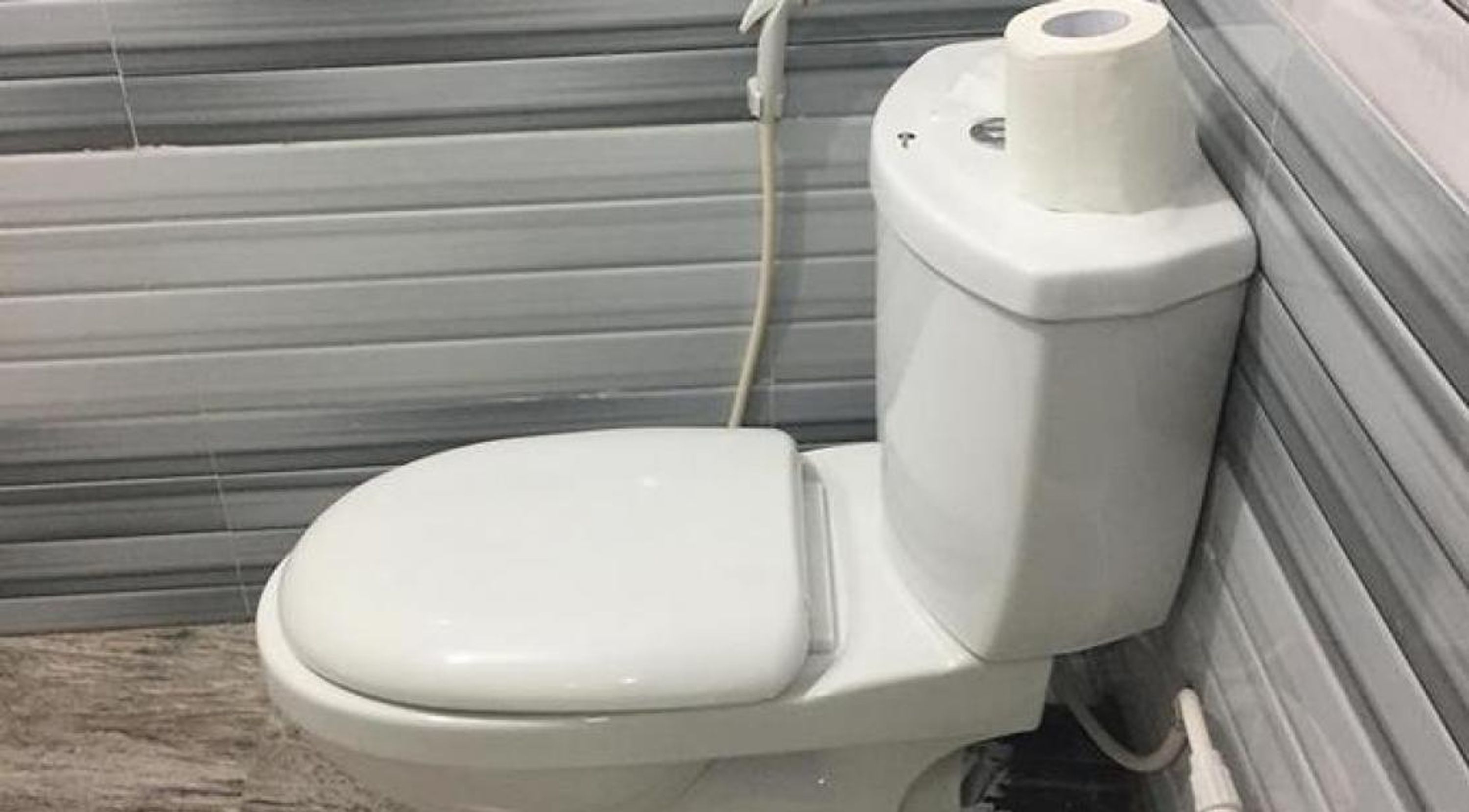 Shower, rainfall showerhead