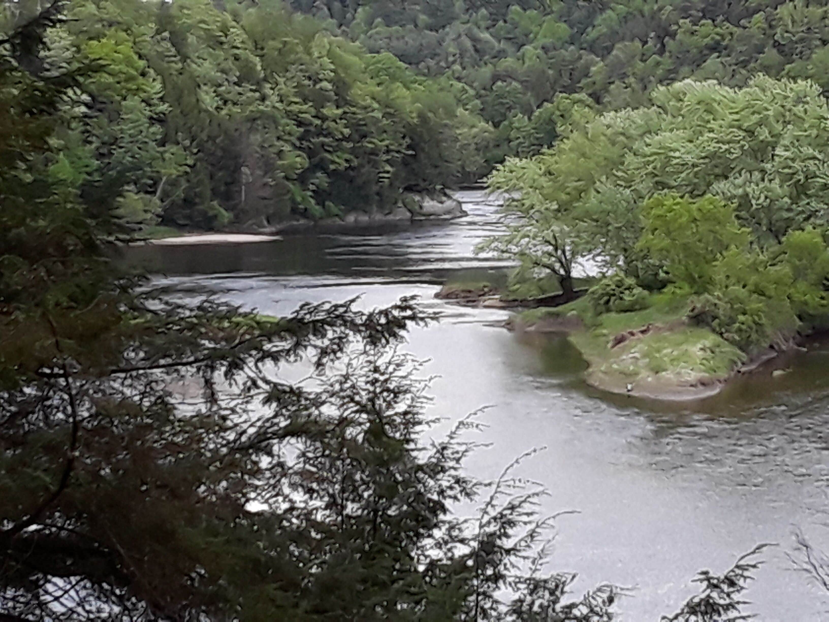 Ein Fluss, umgeben von dichtem Wald.