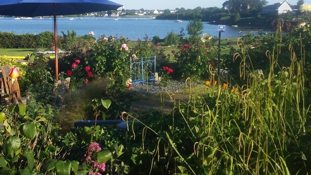 Un jardin avec un parasol bleu, des fleurs roses et une vue sur l’eau, où l’on peut apercevoir des bateaux.