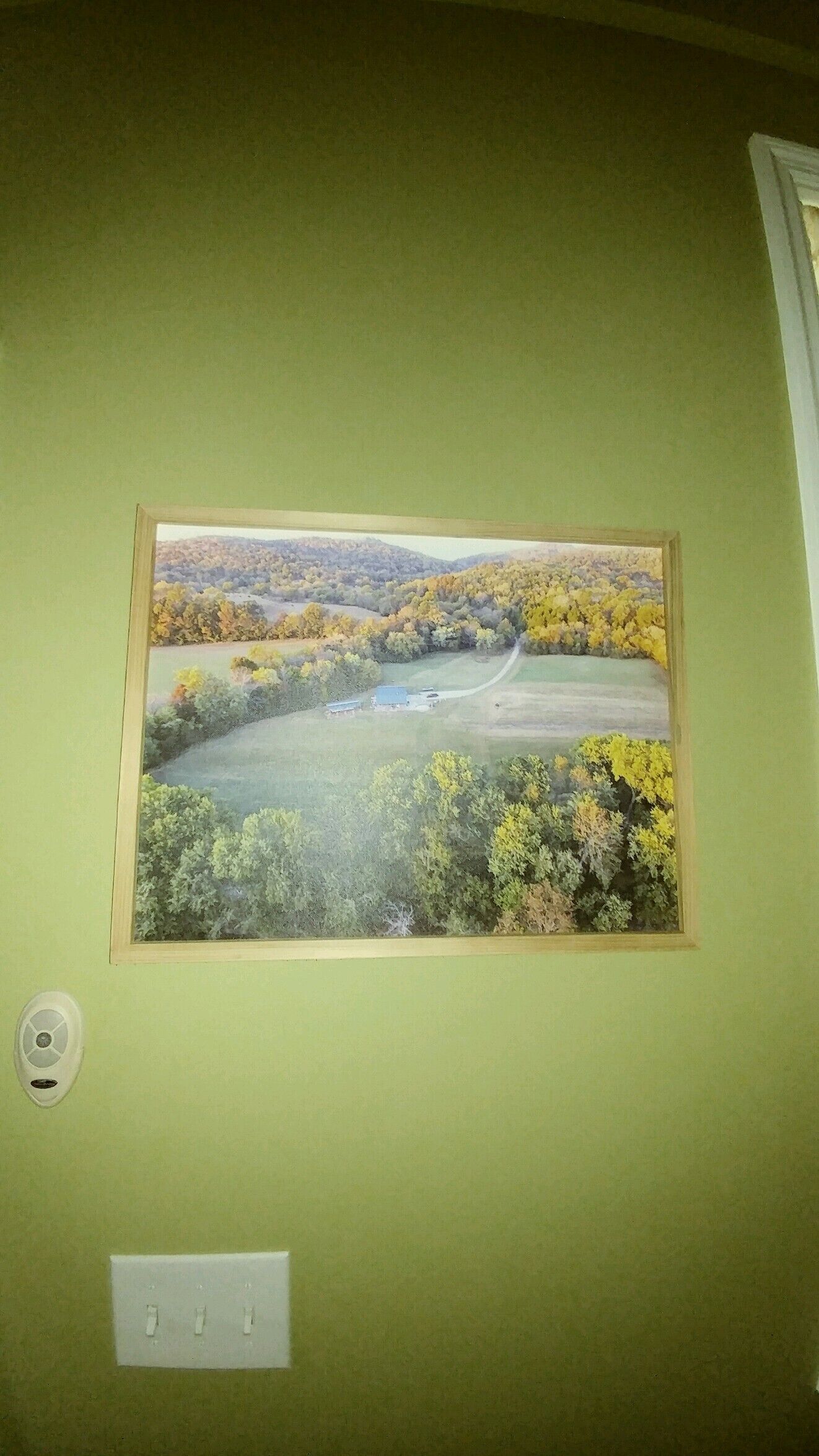 Un cuadro de paisaje enmarcadosobre una pared verde.