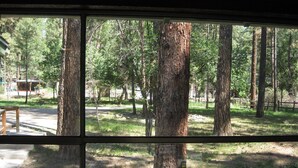 A view through a window of a forested area with a dirt path and a building in the background.