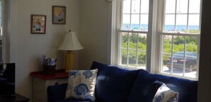 Smart TV, chimenea, reproductor de DVD y libros 