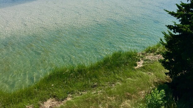 Une zone côtière caractérisée par une eau claire, des berges verdoyantes et une vue dégagée sur la mer.