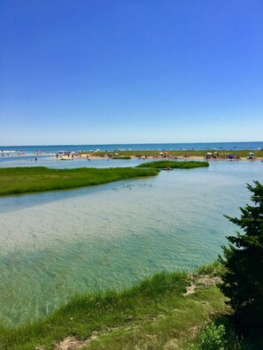 Sulla spiaggia, lettini da mare