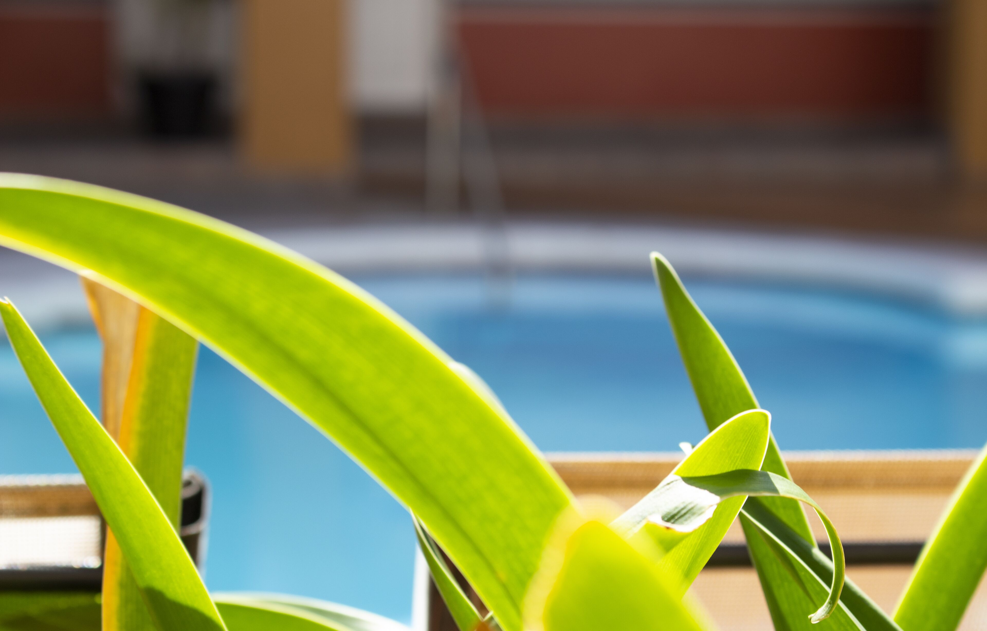 Photo - Del Mar Inn Playas