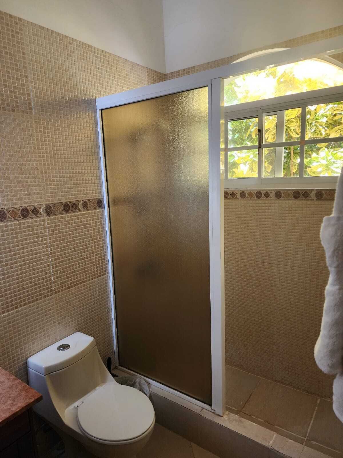 A bathroom with a toilet, a shower with frosted glass, and a window with a view of greenery.