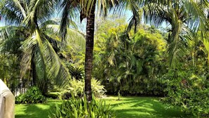 Ein üppiger Garten mit Palmen, verschiedenen tropischen Pflanzen und einem gepflegten Rasen.