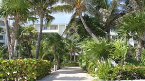 A pathway lined with palm trees and a building with a white facade. - Affordable Cancun Oceanfront Condo at the "Zona Hotelera" Hotel Zone (Cancun)