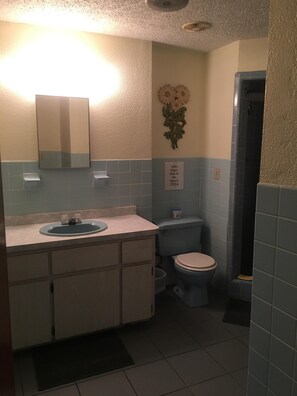 A bathroom with a sink, mirror, toilet, and a shower area.