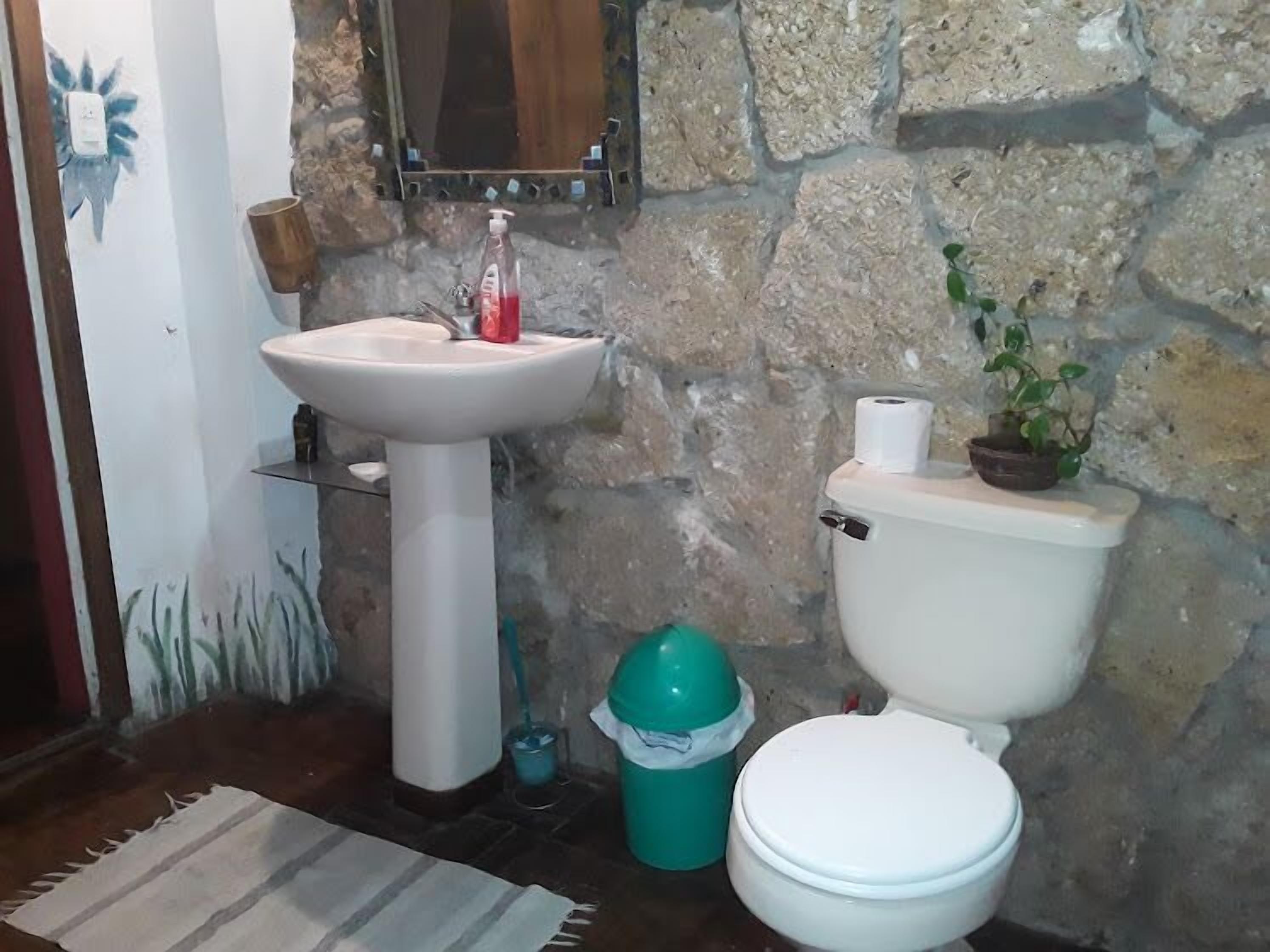 A bathroom with a white sink, a toilet, a stone wall, a mirror, and a small potted plant.