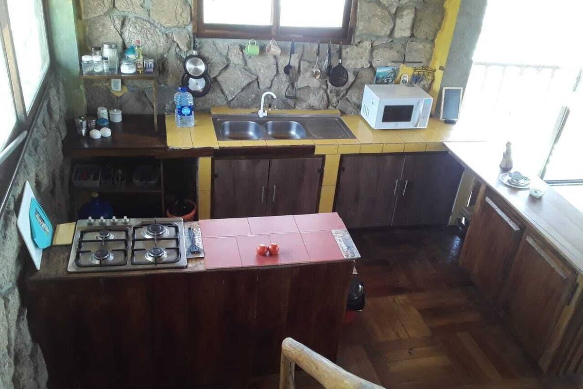 A compact kitchen with a gas stove, a sink, a microwave, and wooden cabinets.