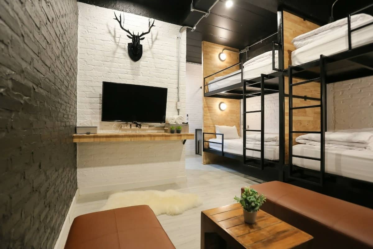 A modern room with a white brick wall, a mounted deer head, bunk beds, a flat-screen TV, a wooden bench, and a small plant.