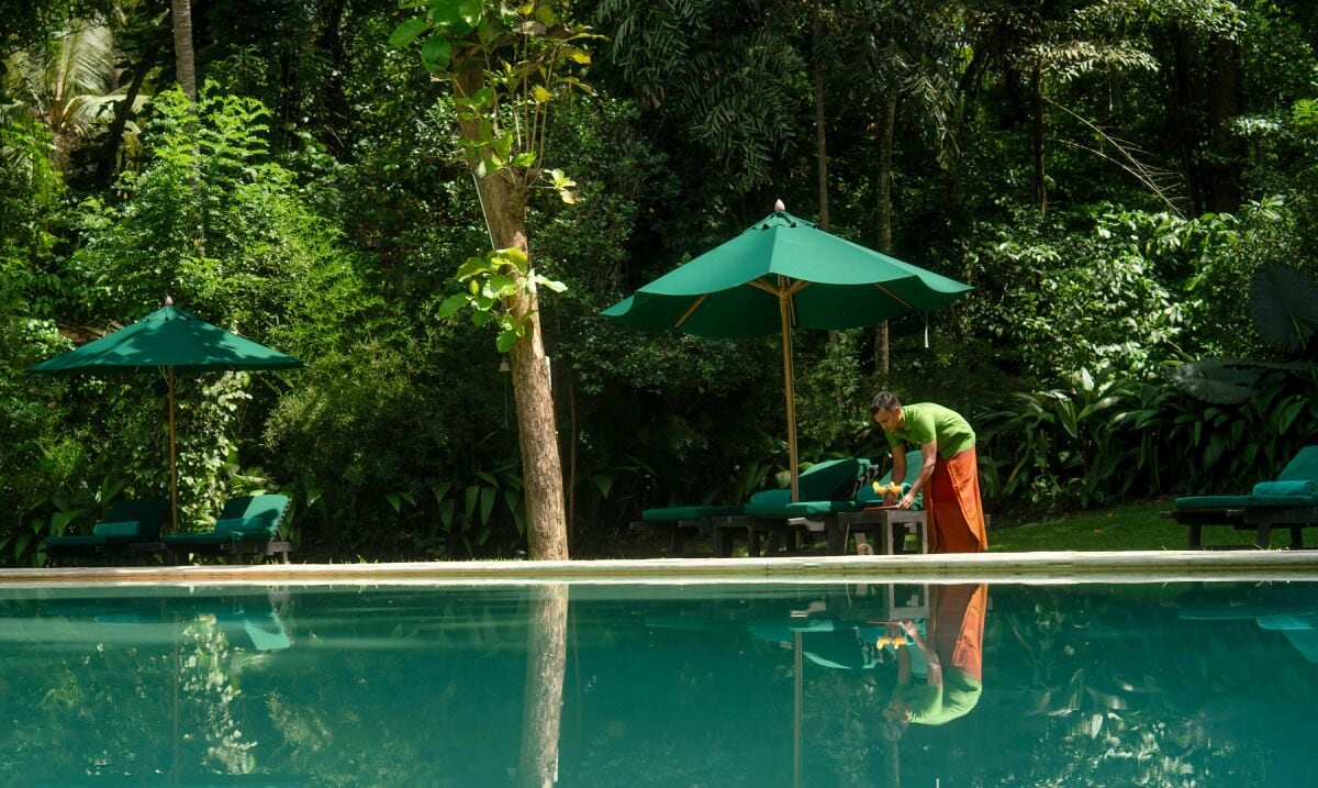 Outdoor pool, sun loungers