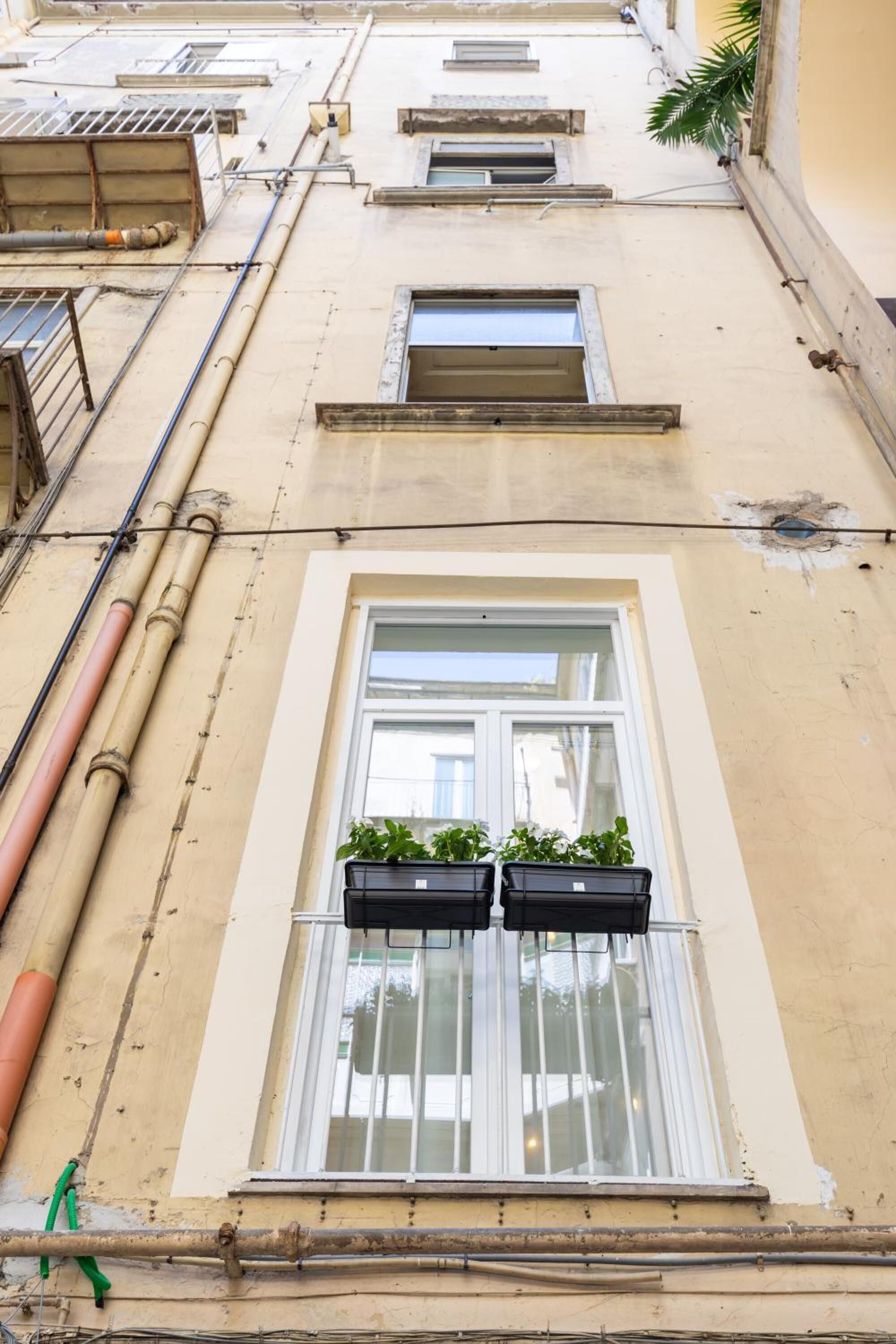 Foto - Palazzo Della Porta