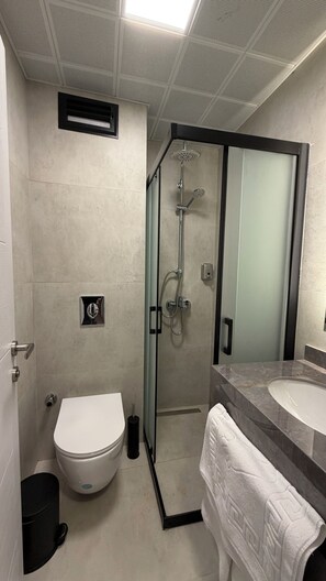 Deluxe Room | Bathroom | Shower, free toiletries, hair dryer, slippers