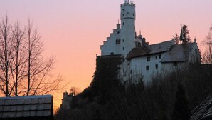 Eine historische Burg mit einem markanten Turm, umgeben von Bäumen und einem klaren Himmel.