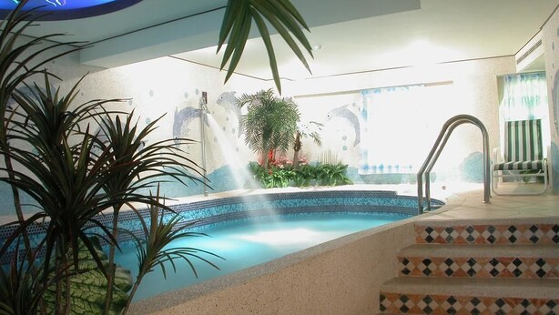 An indoor swimming pool with a tiled edge, surrounded by steps and potted plants. - Swan Lake hotel (Taoyuan City)