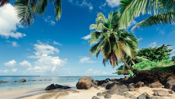 Beach