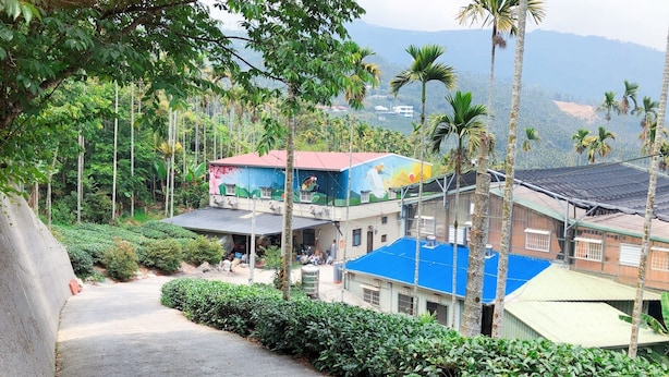 A hillside building with a blue roof, surrounded by lush greenery and palm trees. - Look Tea House (Meishan)