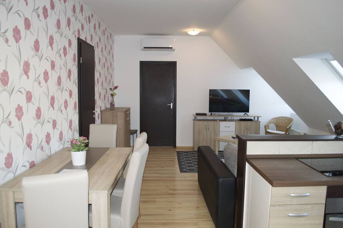 A modern, compact living space with a dining area, kitchenette, and a TV.